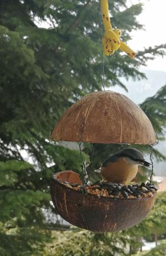 a bird feeder with a bird inside of it at Dame vam pokoj - 4 pokoje se sdilenou kuchyni, kapacita max 9 osob in Harrachov