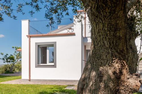 a white house with a tree in front of it at Podere n.8 Bio Casale Maremma in Alberese