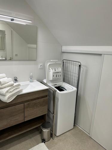ein kleines Bad mit einer Waschmaschine und einem Waschbecken in der Unterkunft Manoir de La Ville Durand in Binic