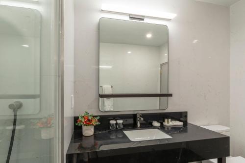 a bathroom with a sink and a mirror at Broadway Plaza Hotel in New York