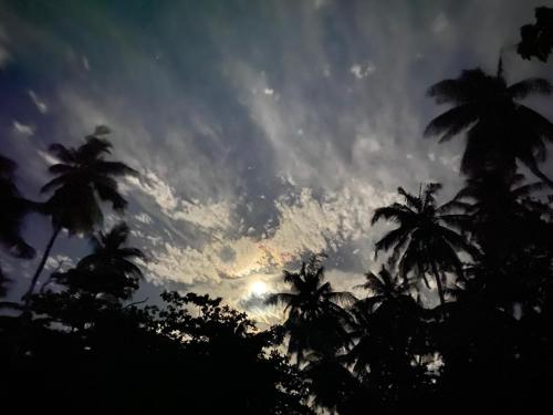 Foto dalla galleria di Oasis Village Fenfushi, Maldives a Fenfushi