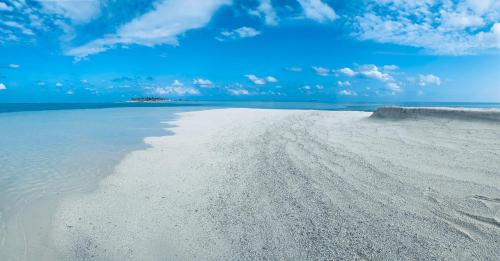Paesaggio naturale nelle vicinanze dell'affittacamere