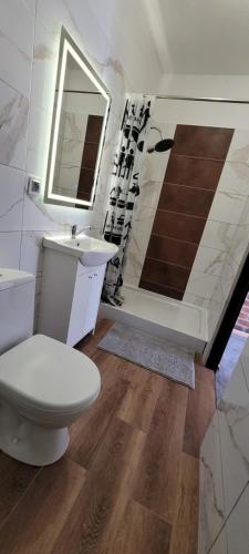ein Badezimmer mit einem WC, einem Waschbecken und einem Spiegel in der Unterkunft Dom nad jeziorem in Wilamowo