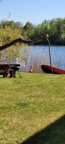 a boat sitting on the grass next to a lake at Dom nad jeziorem in Wilamowo
