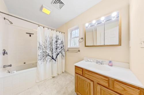 baño con lavabo y cortina de ducha en Lakefront Bliss, en Pocono Summit