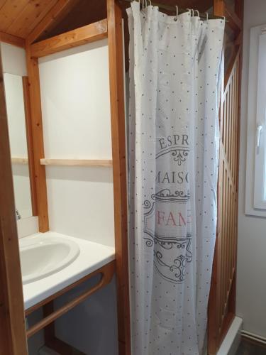 a bathroom with a sink and a shower curtain at Nid Douillet in Poncins