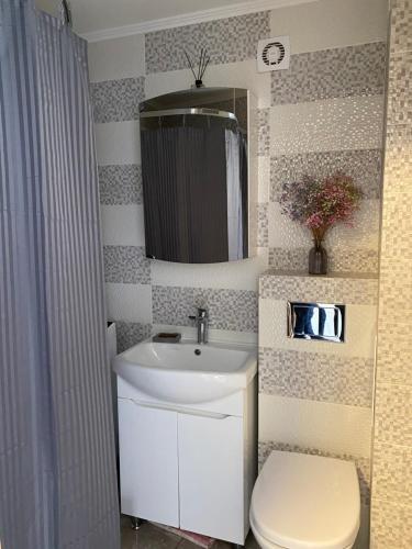 uma casa de banho com um lavatório, um WC e um espelho. em 1 kambario butukas Kelmėje em Kelmė