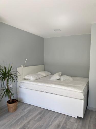 a white bed in a bedroom with a potted plant at 1 kambario butukas Kelmėje in Kelmė