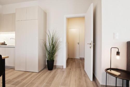 a living room with a potted plant on the floor at Aellō luxury apartments in Markopoulo
