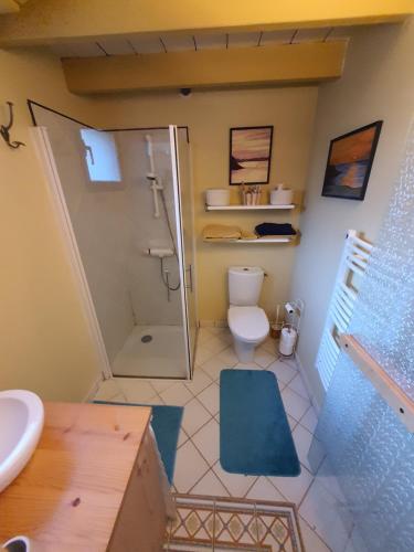 a bathroom with a toilet and a shower and a sink at TY La Source in Plestin-les-Grèves