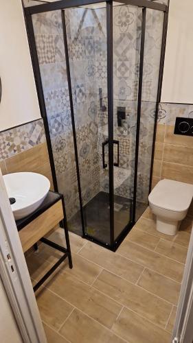 a bathroom with a shower with a toilet and a sink at I Dammusi di Punta Karace in Tracino