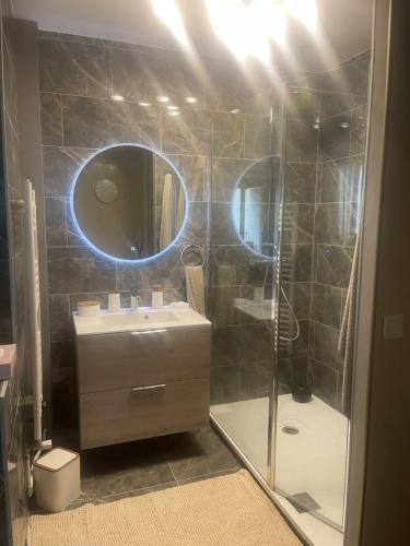 ein Bad mit einer Dusche, einem Waschbecken und einem Spiegel in der Unterkunft WonderSpa in Chilly-Mazarin