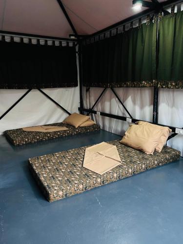 Φωτογραφία από το άλμπουμ του Camp Backpackers Port Barton σε San Vicente