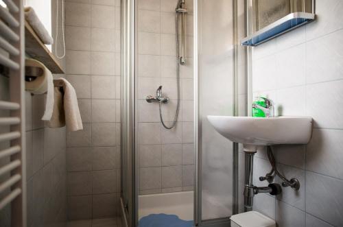 ein Bad mit einem Waschbecken und einer Dusche in der Unterkunft House Pljesevica in Plitvička Jezera