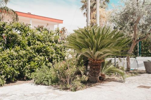 a palm tree in the middle of some plants at Villa Gianna in Taranto