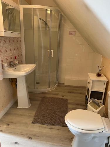 une salle de bain avec une douche, des toilettes et un lavabo dans l'établissement come chez nous, à Sarlat-la-Canéda