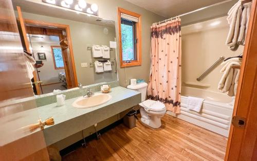 a bathroom with a sink and a toilet and a shower at McGregor Mountain Lodge in Estes Park