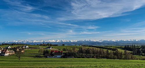 a green field with houses and mountains in the background at Domki Na Grapie - z widokiem na Tatry in PyzÃ³wka