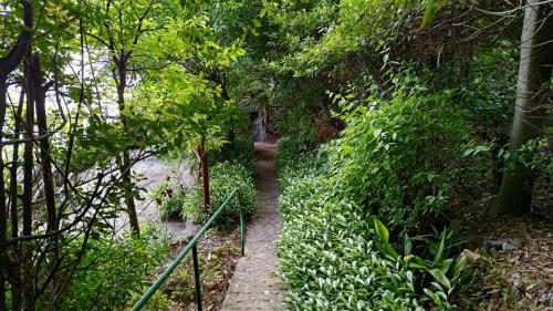 a dirt path through a forest with a fence at Aparatman Residence in Rijeka