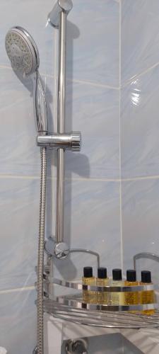 a shower head in a bathroom next to a sink at Villa Bella in Ilidža