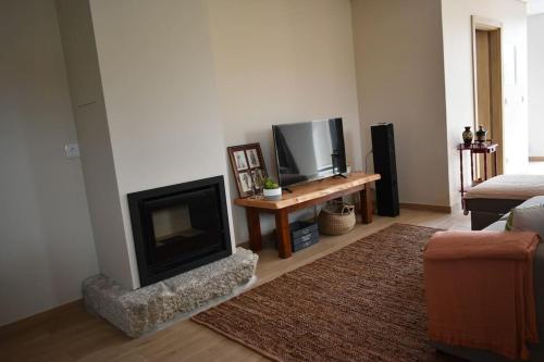 a living room with a fireplace and a television at Casinhas da eira caramulo turismo rural in Arca