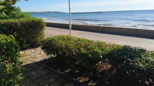 Fotografie z fotogalerie ubytování Internacional I. Primerísima línea de playa v destinaci Vilafortuny