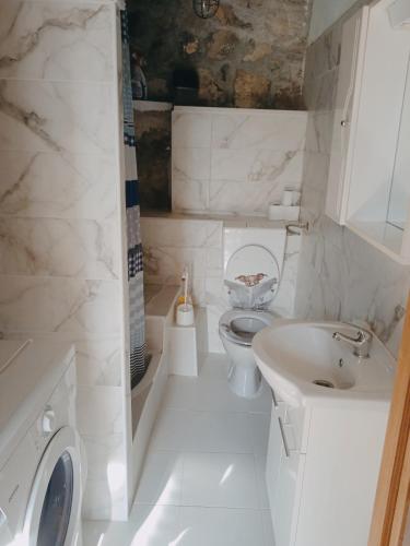 a white bathroom with a toilet and a sink at Apartment Ema in Žukalj