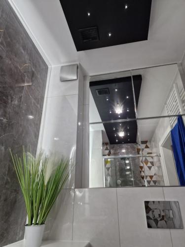 a bathroom with a mirror and a potted plant at Apartament Plażowa in Międzywodzie