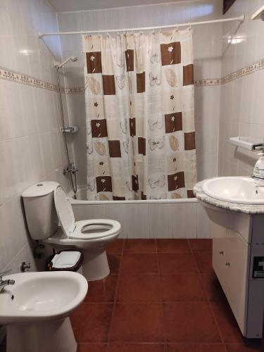 a bathroom with a toilet and a sink and a shower at Casa da Ramada in Campo do Gerês