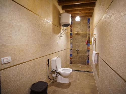 a bathroom with a toilet and a shower at Tunis Pyramids Hotel - فندق اهرامات تونس in Tunis
