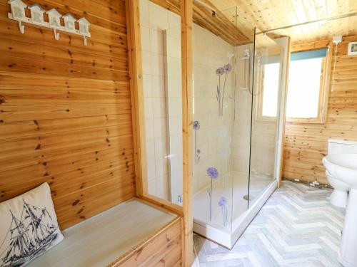 a bathroom with a shower and a toilet at Brook Lodge in Llandysul