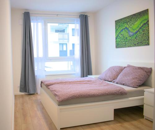 Brand new apartment by hockey stadium