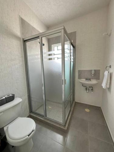 a bathroom with a shower and a toilet and a sink at Flor de Lantana in Playa del Carmen