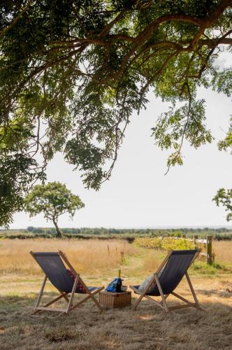 two chairs sitting under a tree in a field at Barnhorn Glamping in Hooe