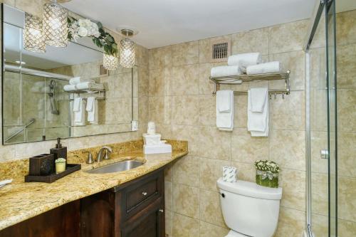 a bathroom with a toilet and a sink and a shower at Waterfront Room, Heated Pool, Tiki Bar & Grill in Sarasota