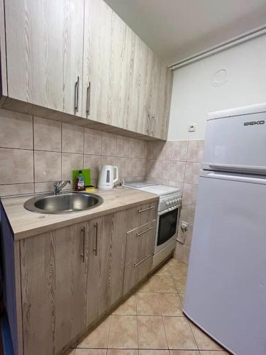 Apartman Floraにあるキッチンまたは簡易キッチン