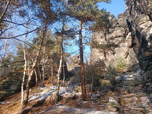 a view of a mountain with trees and rocks at Fox House Tisá / Rájec in Tisá
