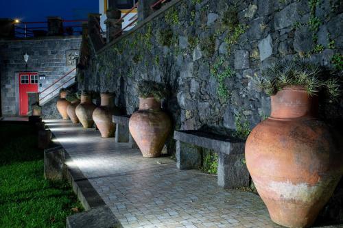 a row of large clay vases lined up against a stone wall at Quinta da Paz Azores in Pico da Pedra