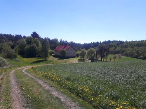 a dirt road in a field with a house in the background at Dom na Warmii 