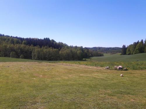 a field with some animals grazing in a field at Dom na Warmii 