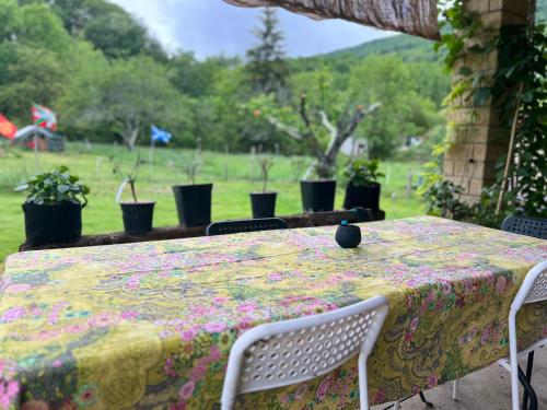 a table with a flowered table cloth on it with plants at Maison 6 places, en plein cœur de l’Ariège, proche ski et nature in Lesparrou