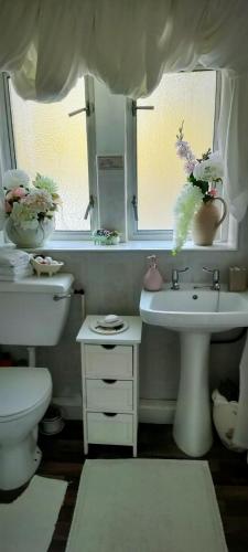 a bathroom with a toilet and a sink and a mirror at Cuisinease in Ollerton