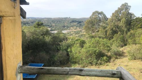 a view of a forest from the window of a house at Peña de Horeb in Villa Serrana