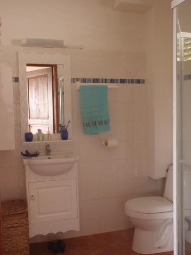 Koupelna v ubytování villa bois style créole