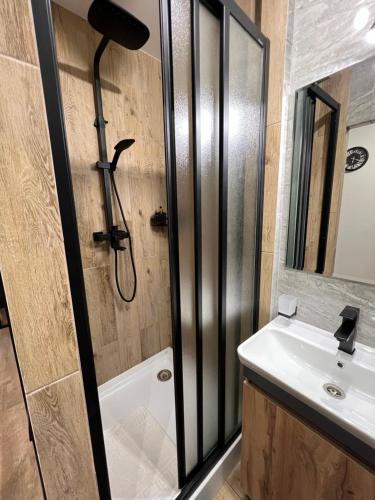 uma casa de banho com um chuveiro, um lavatório e um espelho. em Cozy Loft на Староєврейській 24 em Lviv