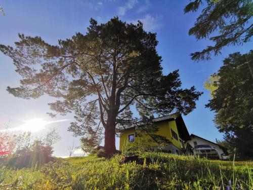 Fotografie z fotogalerie ubytování Pine View v destinaci Gressenberg