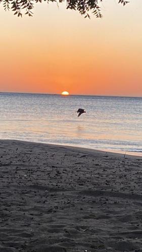 LOSARA BEACH SALINAS – Photos 3