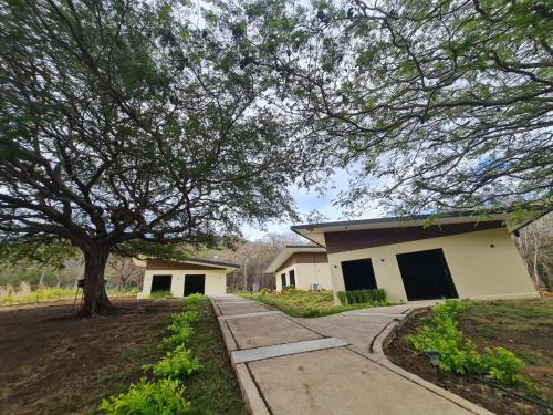 ein Haus mit einem Baum neben einem Bürgersteig in der Unterkunft LOSARA BEACH SALINAS in El Jobo