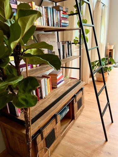 a book shelf filled with books next to a plant at Ferienhaus auf 7 ha Alleinlage - Pool,Whirlpool, Sauna - Das Refugium Südsteiermark in Lieschen