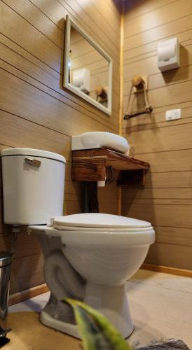 a bathroom with a white toilet and a mirror at Glamping Dunas del sol in San Pedro de Atacama